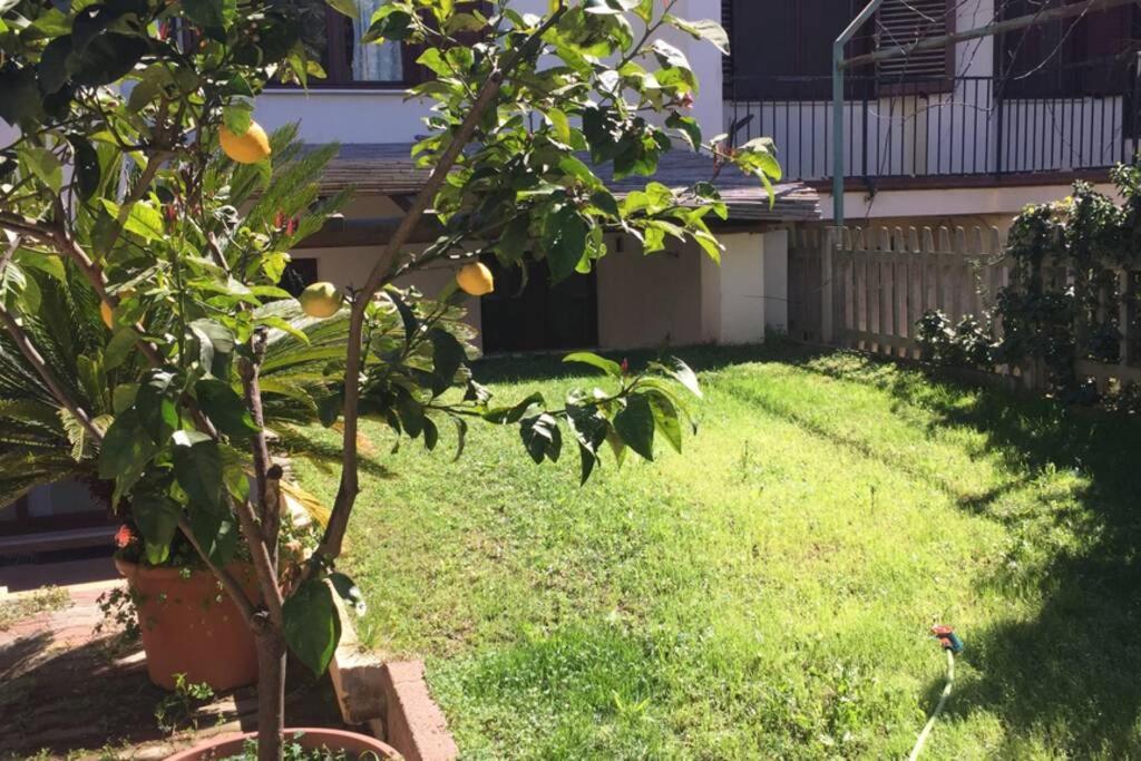 Apartment Monolocale Samira *